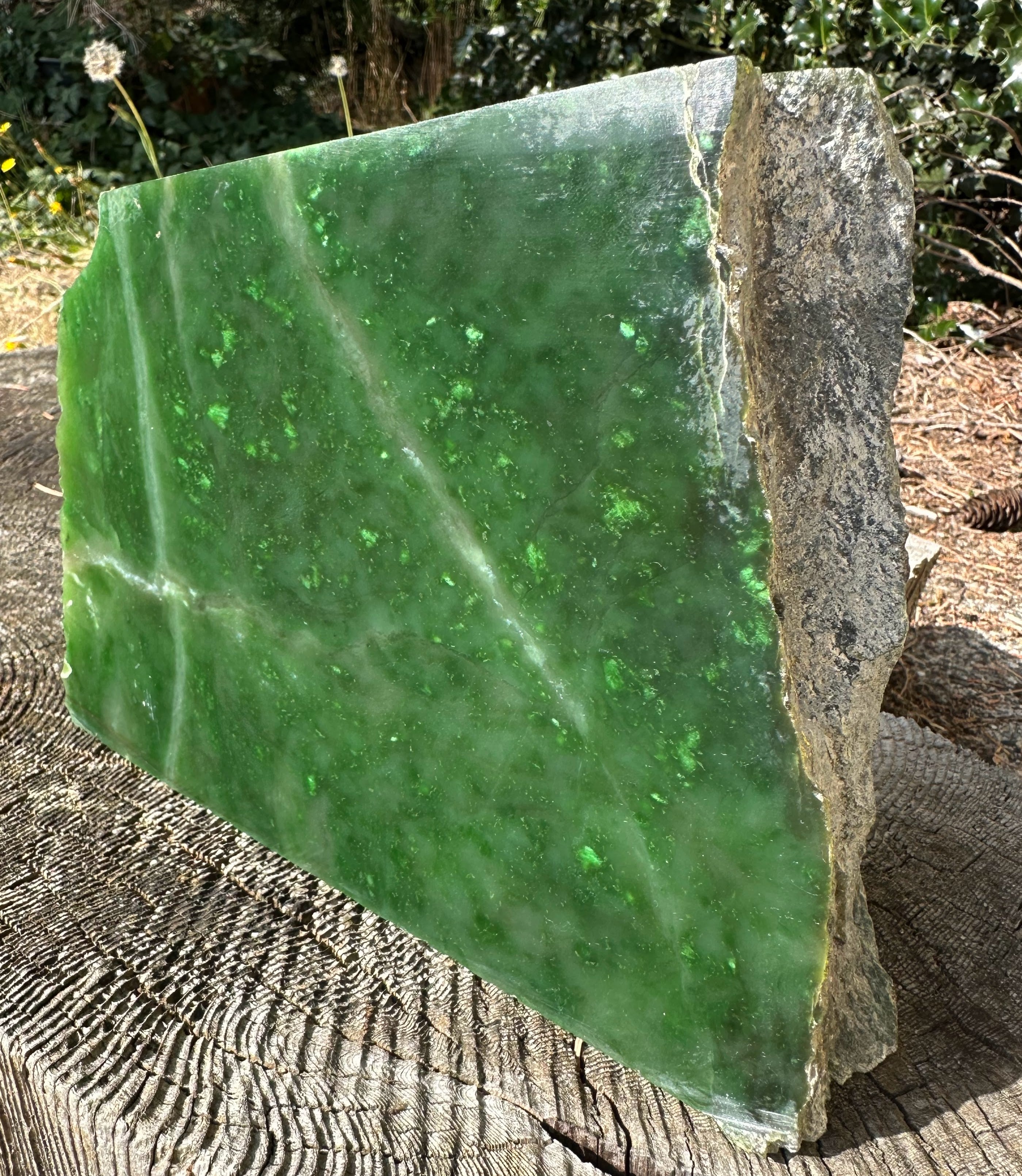 A Grade Polar Jade Rough. -8lbs 6oz – Jade Mine Canada