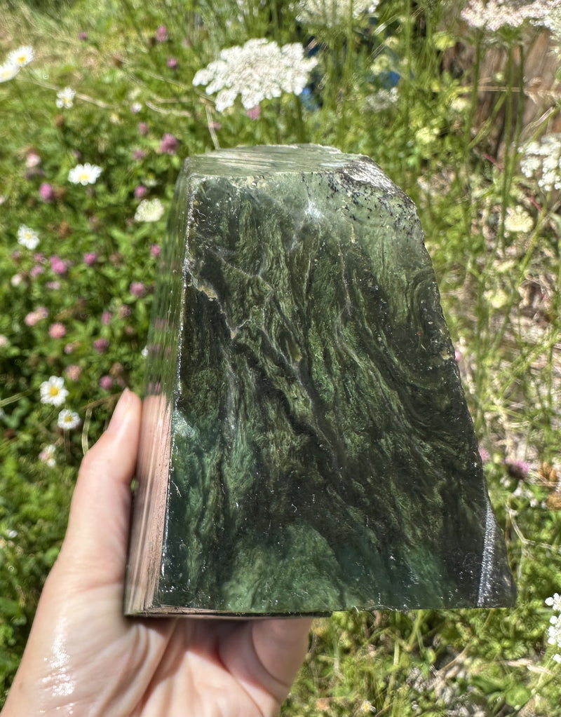 Unique Canadian Jade Rough - 3lbs