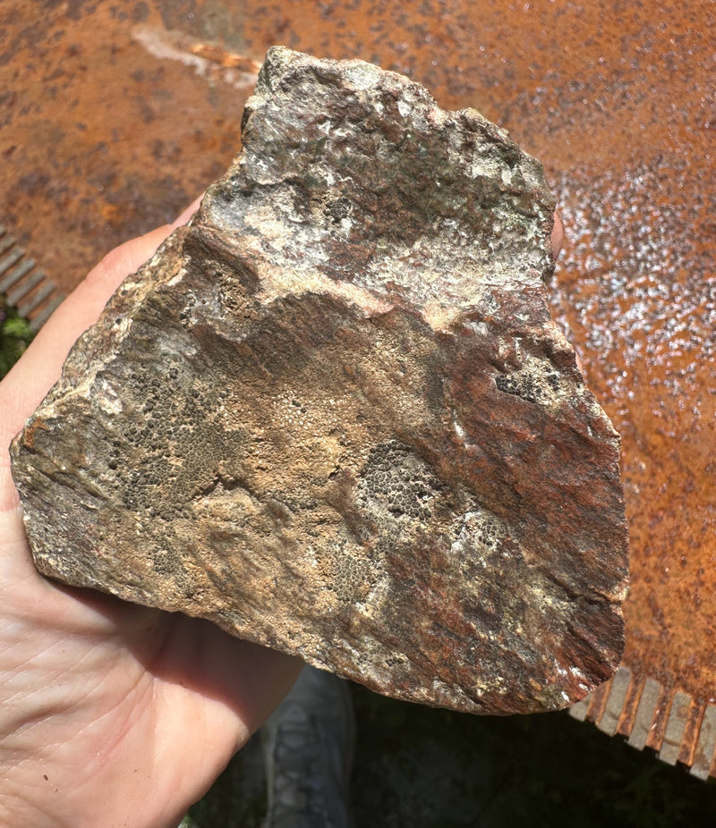 Wyoming Jade Apple, 372grams