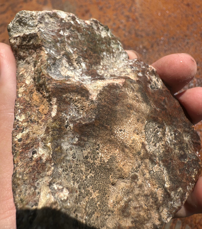 Wyoming Jade Apple, 372grams