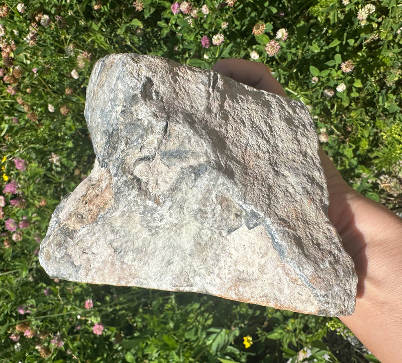 Wyoming Jade Specimen, 4lb 5oz