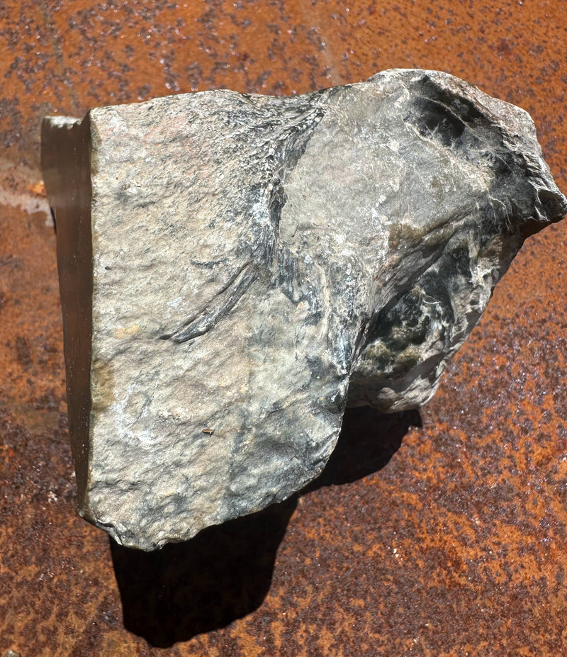 Wyoming Jade Specimen, 4lb 5oz