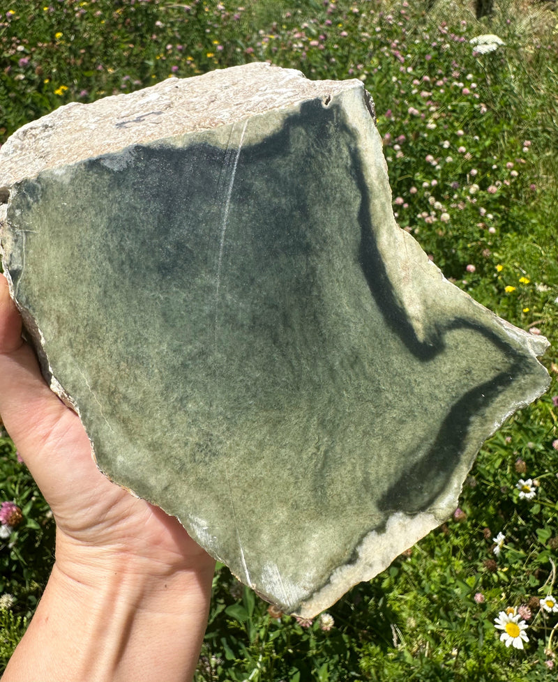 Wyoming Sage Nephrite Jade 8lbs