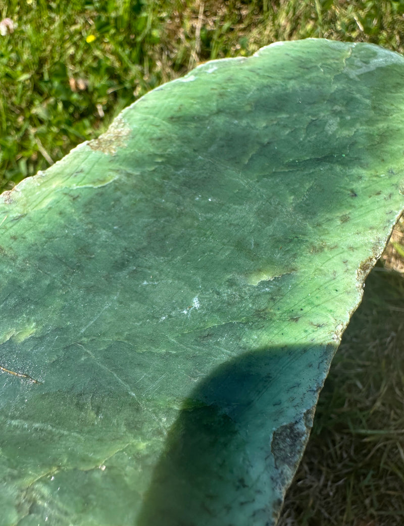 Canadian Jade Rough. - 12lbs 2oz