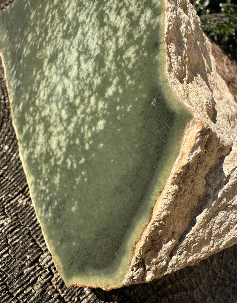 Wyoming Jade Specimen, 7lb 4oz