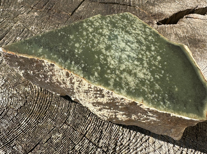 Wyoming Jade Specimen, 7lb 4oz