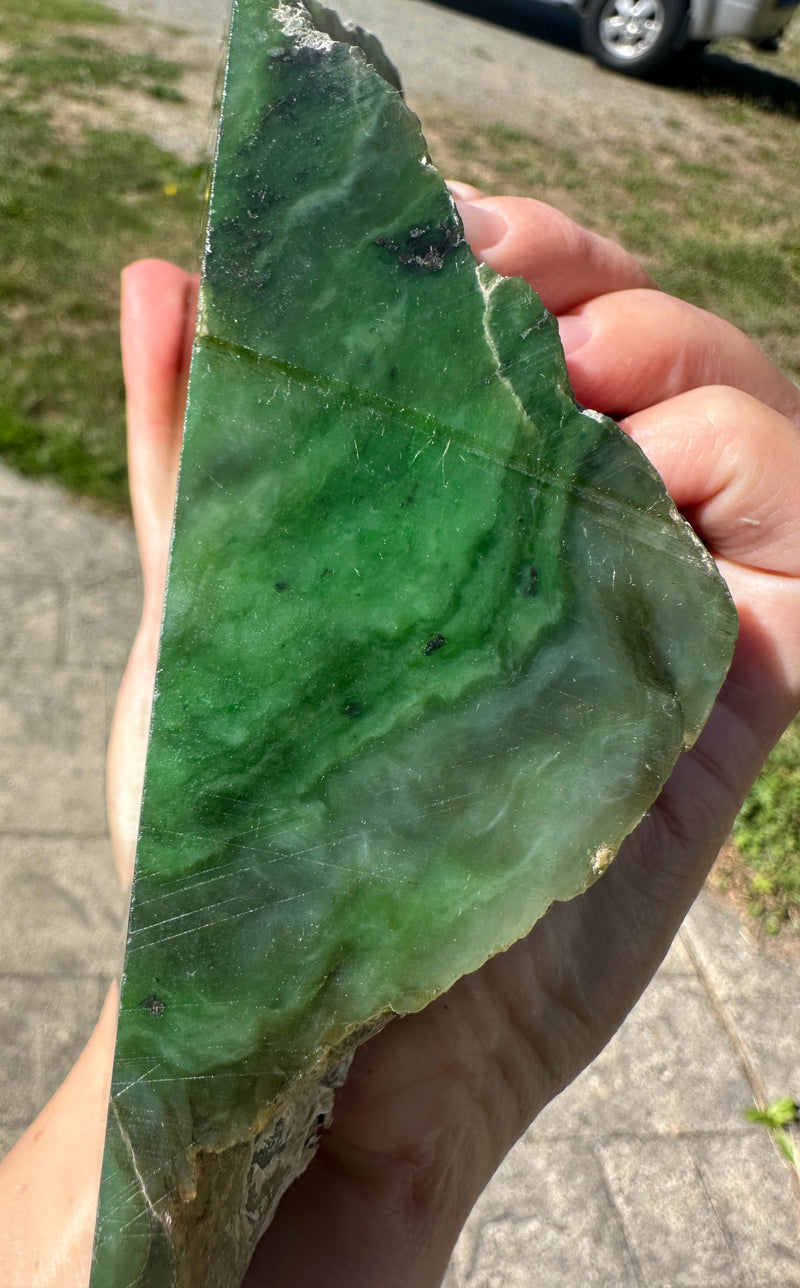 Canadian Jade Rough - 1lbs 10oz