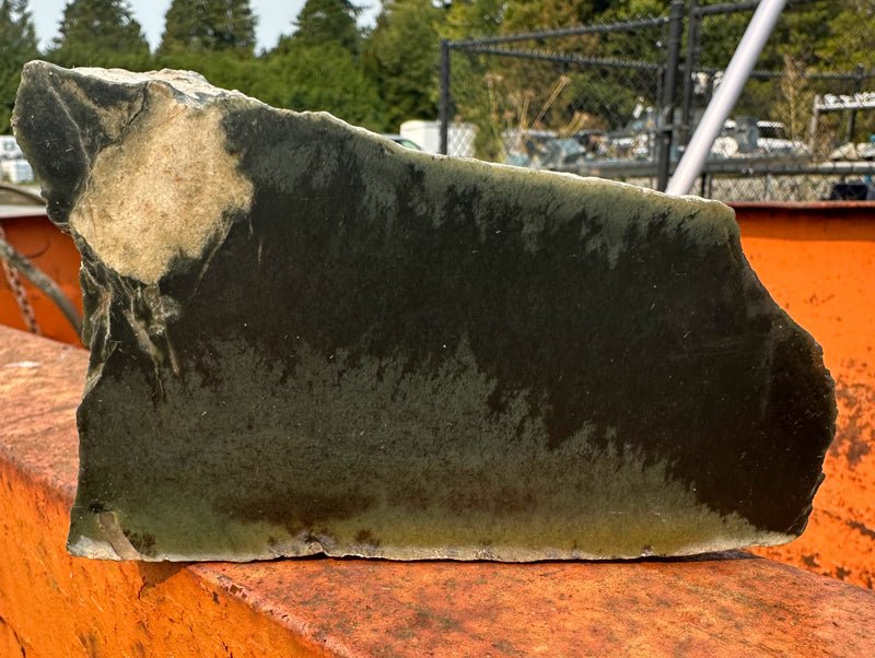 Wyoming Jade Specimen, 3lb 8oz