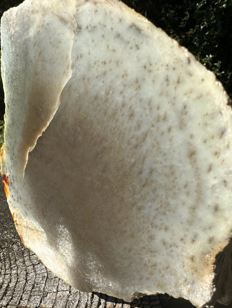 Siberian White Jade Rough - 16.2lbs