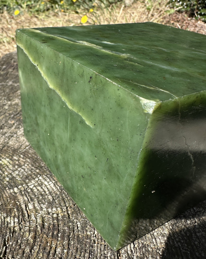 Canadian Nephrite Jade, 9lbs from the Ogden Mountain Mine