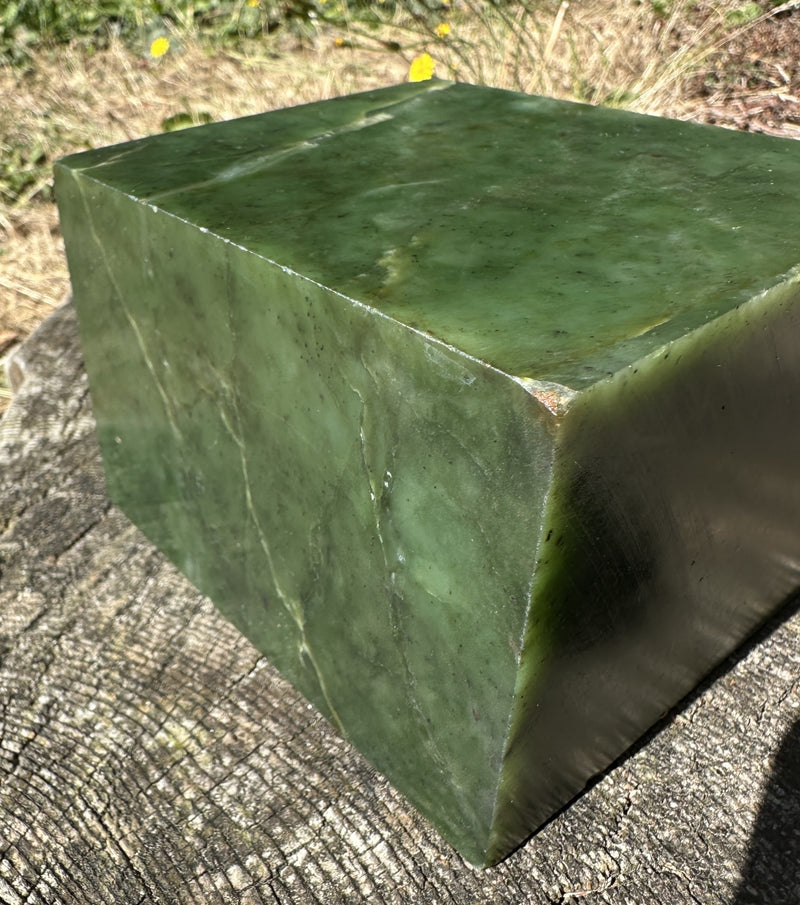 Canadian Nephrite Jade, 9lbs from the Ogden Mountain Mine