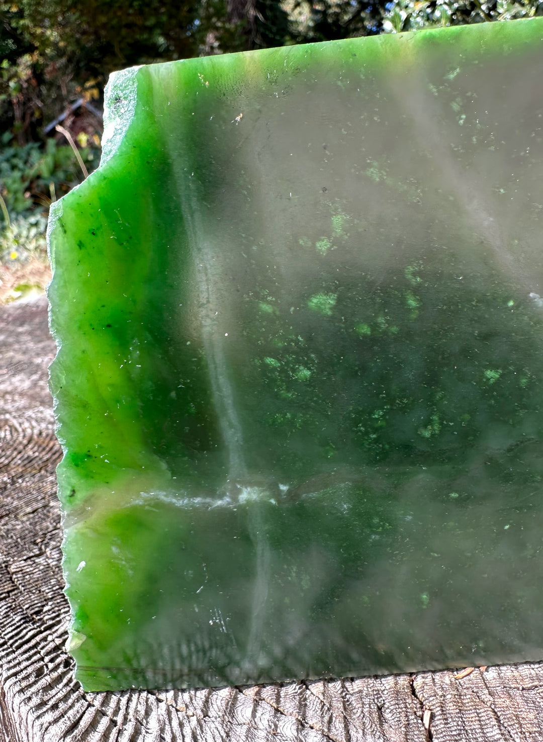 A Grade Polar Jade Rough. -8lbs 6oz – Jade Mine Canada