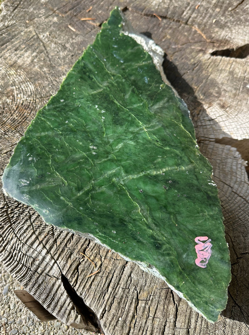 Canadian Jade Rough. - 9lbs 4oz