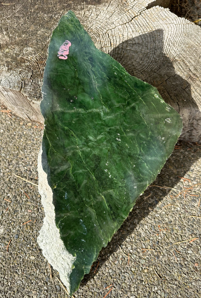Canadian Jade Rough. - 9lbs 4oz