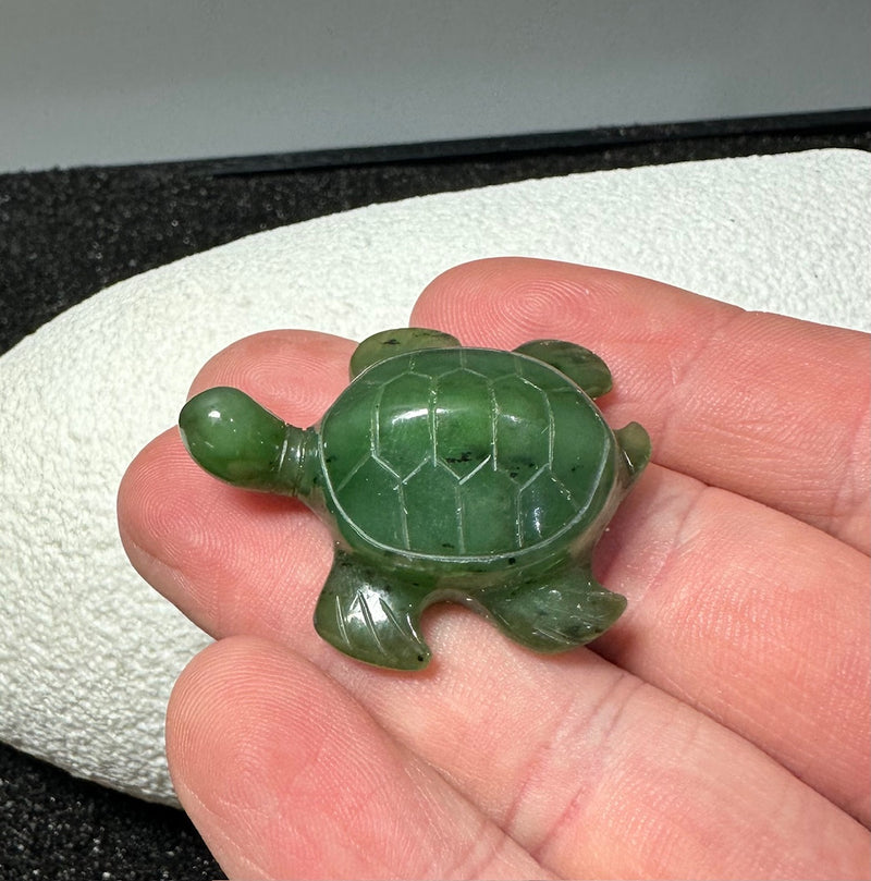 1.5" Turtle