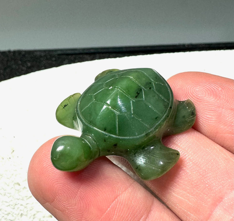 1.5" Turtle