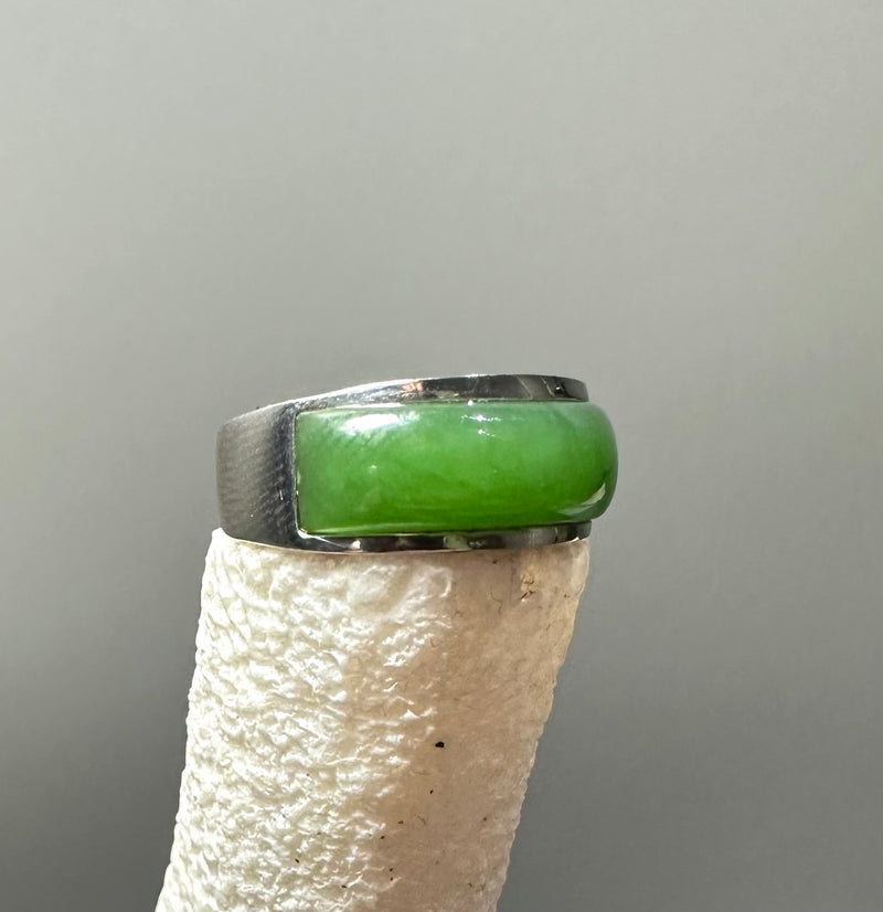 Stainless Ring, SZ 6
