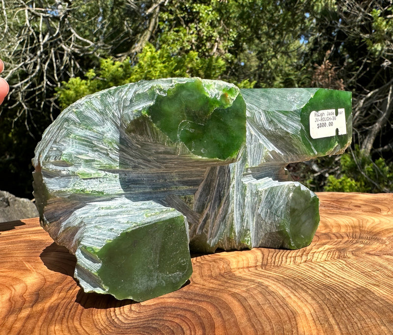 Polar Jade Bear Unfinished Carving - 3lbs 13oz