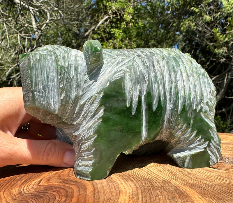 Polar Jade Bear Unfinished Carving - 3lbs 13oz