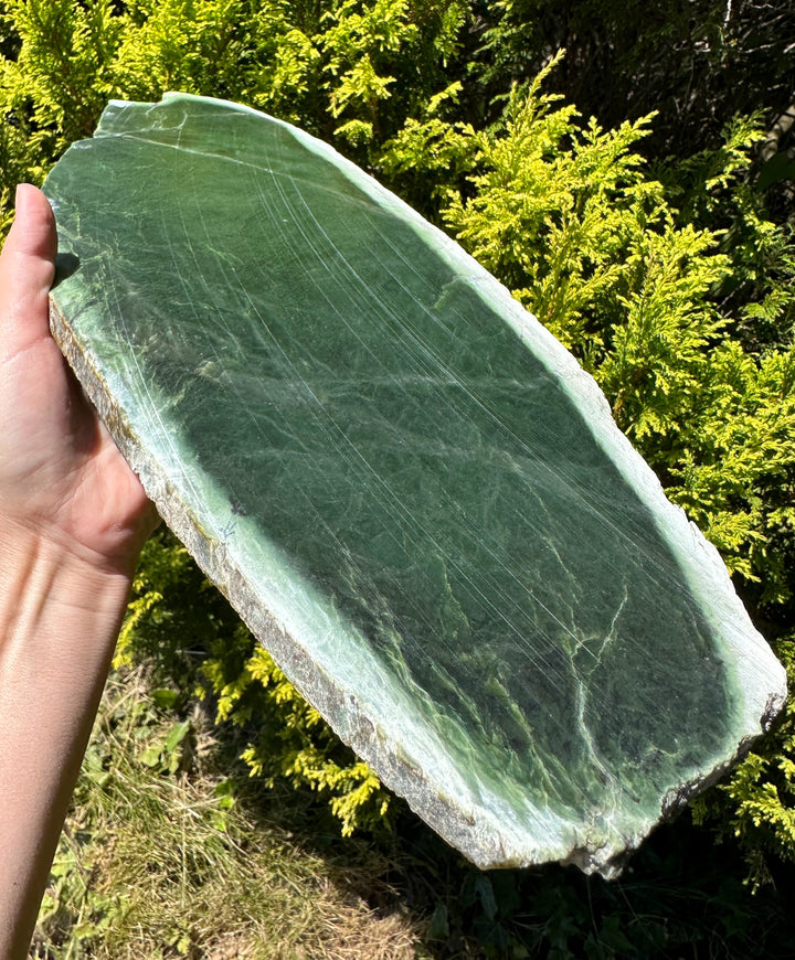 jade plant canada Canadian Jade Slab, 6lb