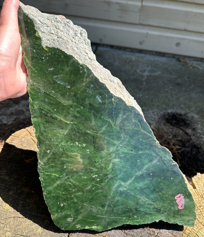 Canadian Jade Rough. - 9lbs 4oz