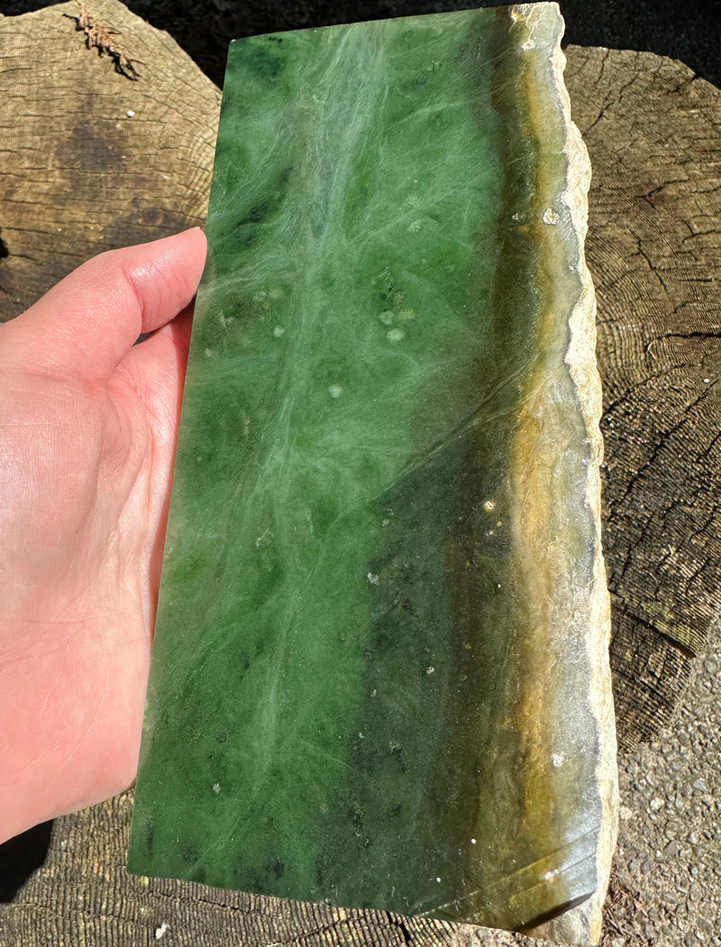 Canadian Nephrite Jade Slab 308 grams