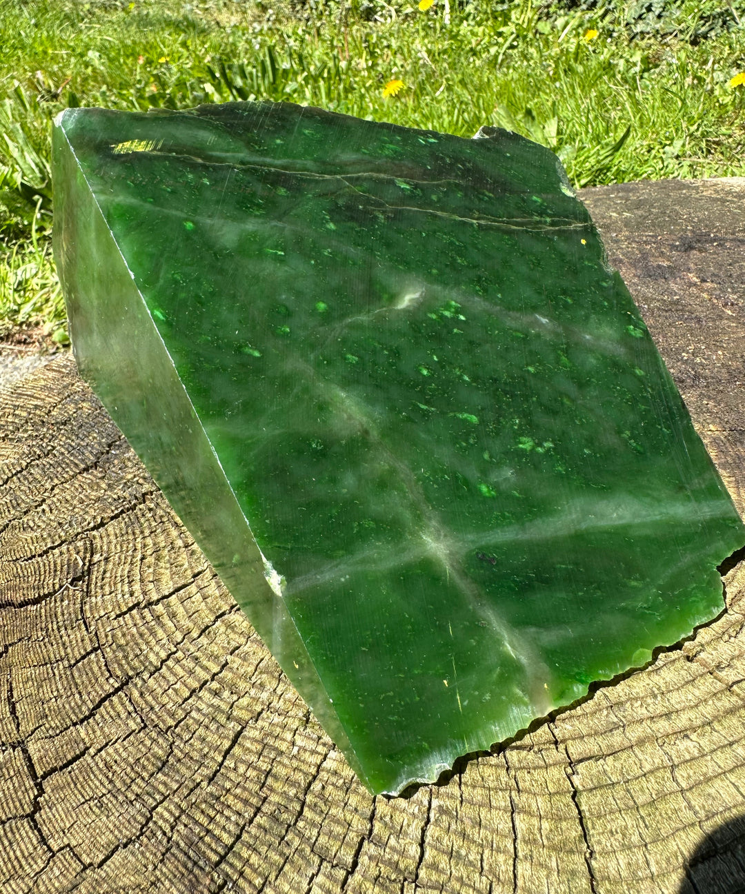 A Grade Polar Jade Rough. -8lbs 6oz – Jade Mine Canada