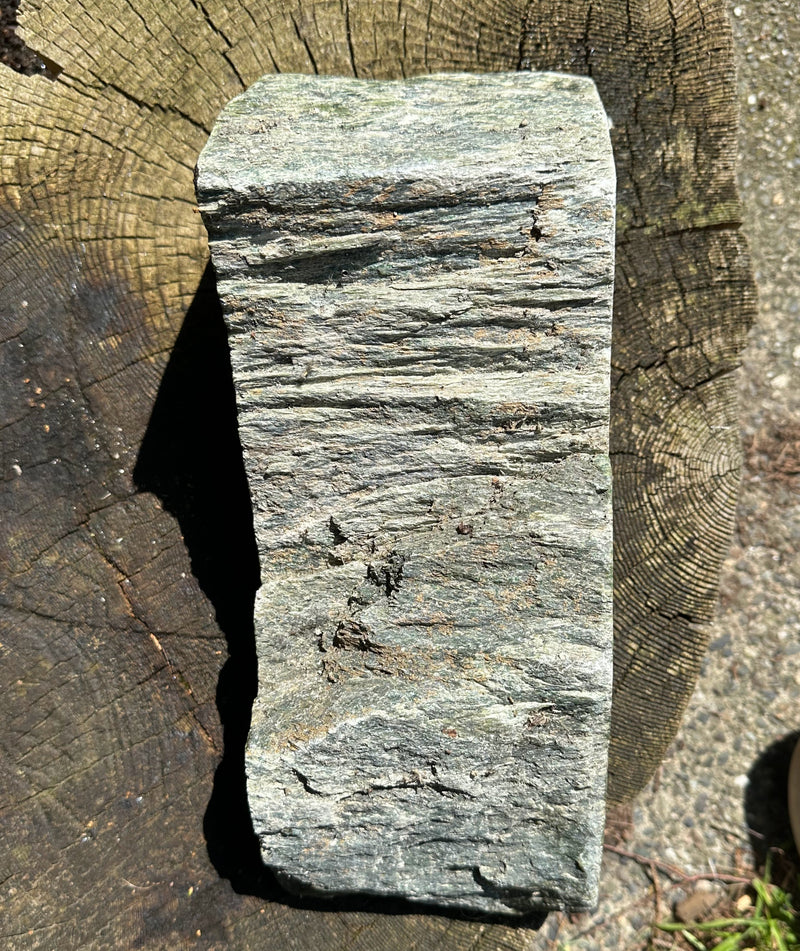 Cassiar Rough Jade - 16lbs 2oz