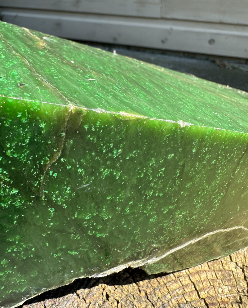 Cassiar Rough Jade - 16lbs 2oz