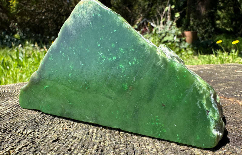 Canadian Jade Rough - 1lb 6oz