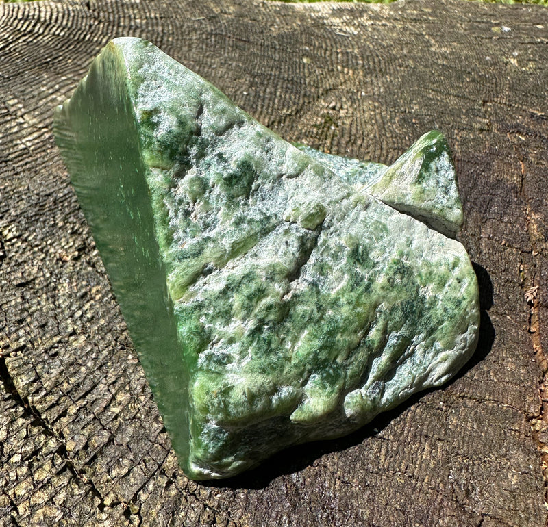 Canadian Jade Rough - 1lb 6oz