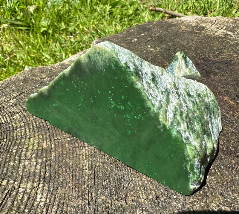 Canadian Jade Rough - 1lb 6oz
