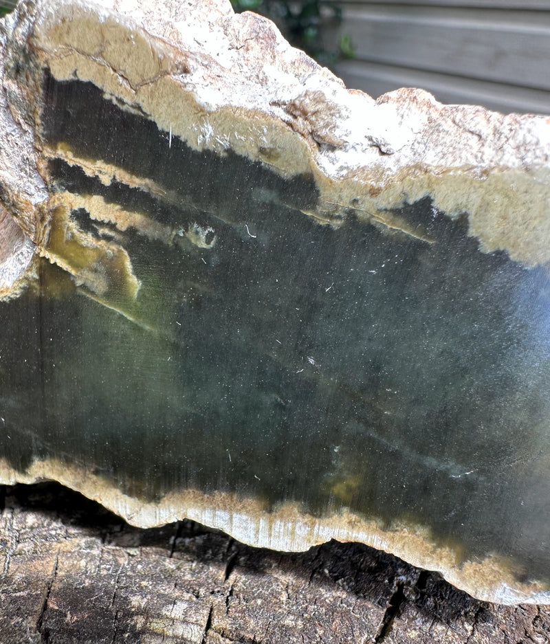 Wyoming Jade Specimen, 1lb 7oz