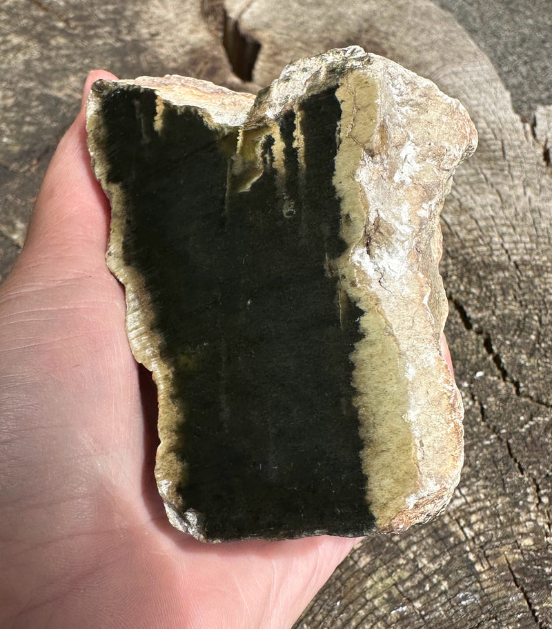 Wyoming Jade Specimen, 1lb 7oz