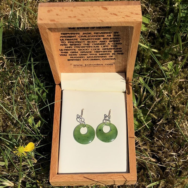 Earrings Circle of Life