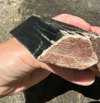 Wyoming Jade Specimen, 348g