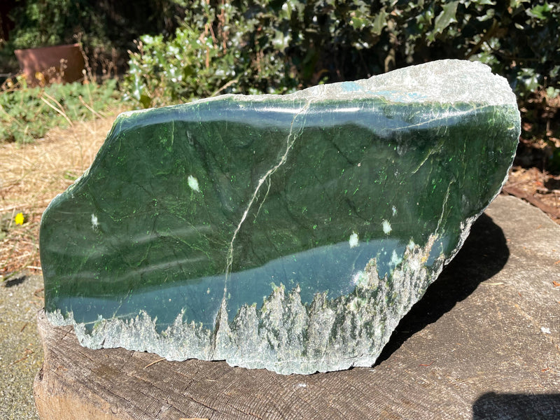 Canadian King Jade, 47lbs