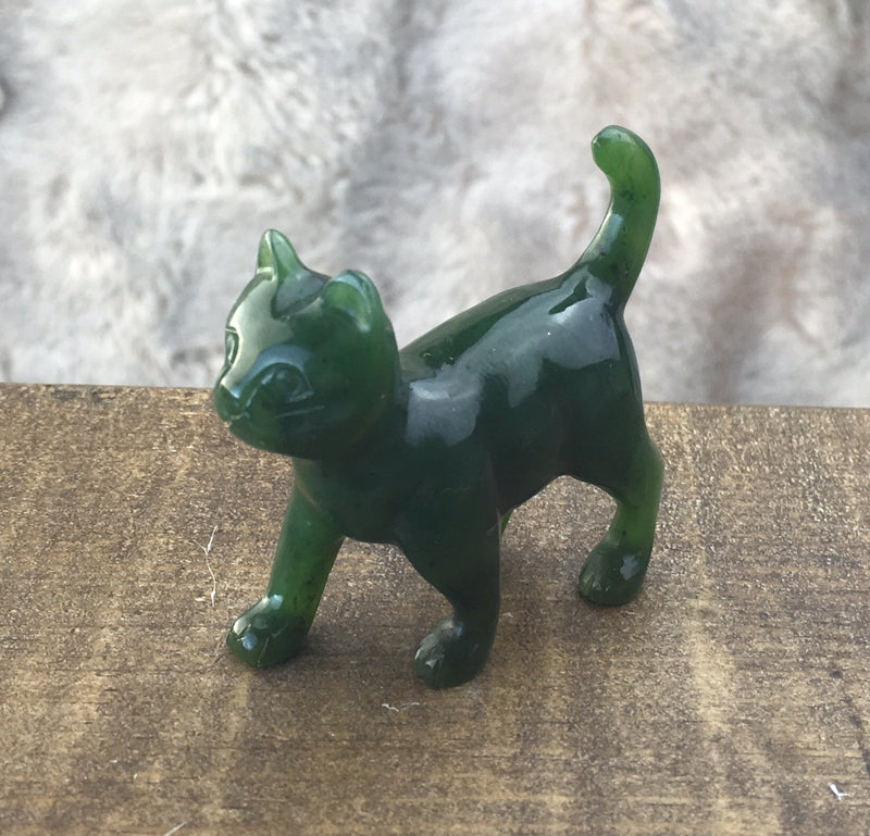 Cat, Walking