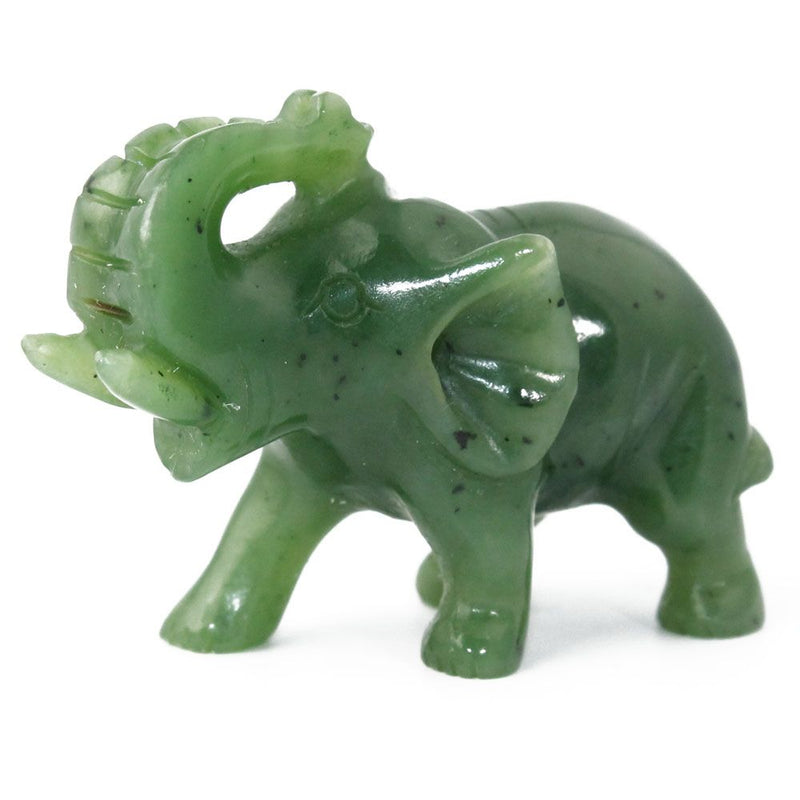 Elephant, Trunk up