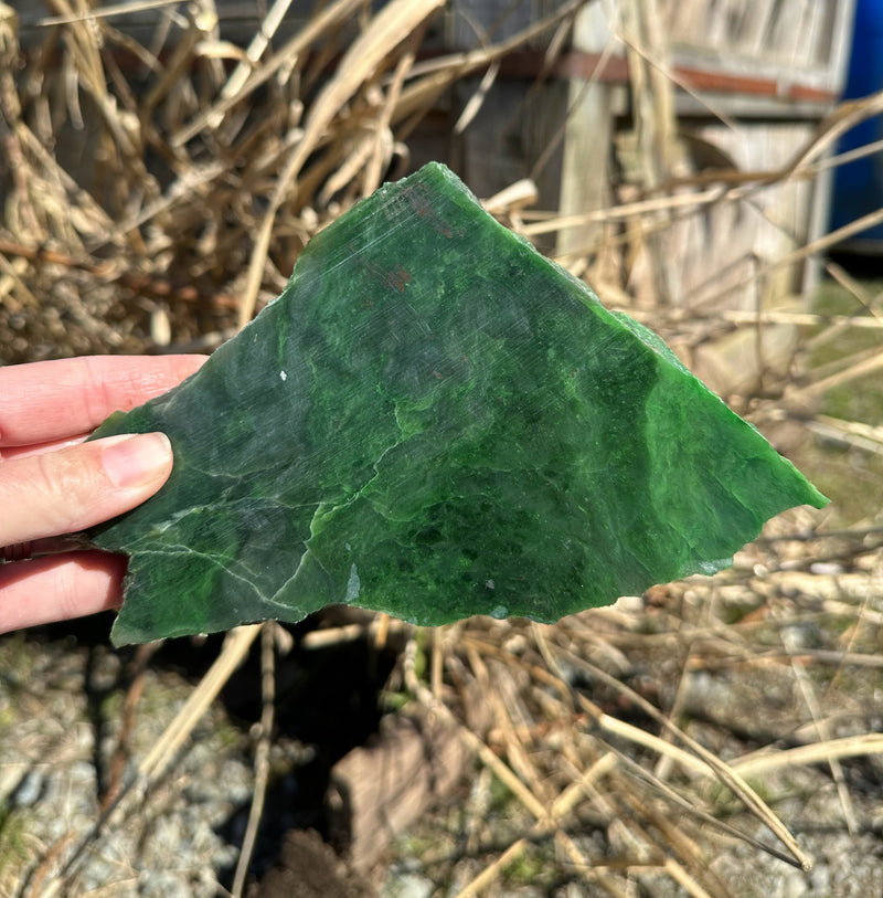 AA Bright Green Polar Jade Rough. - True Canadian Polar Jade 15oz