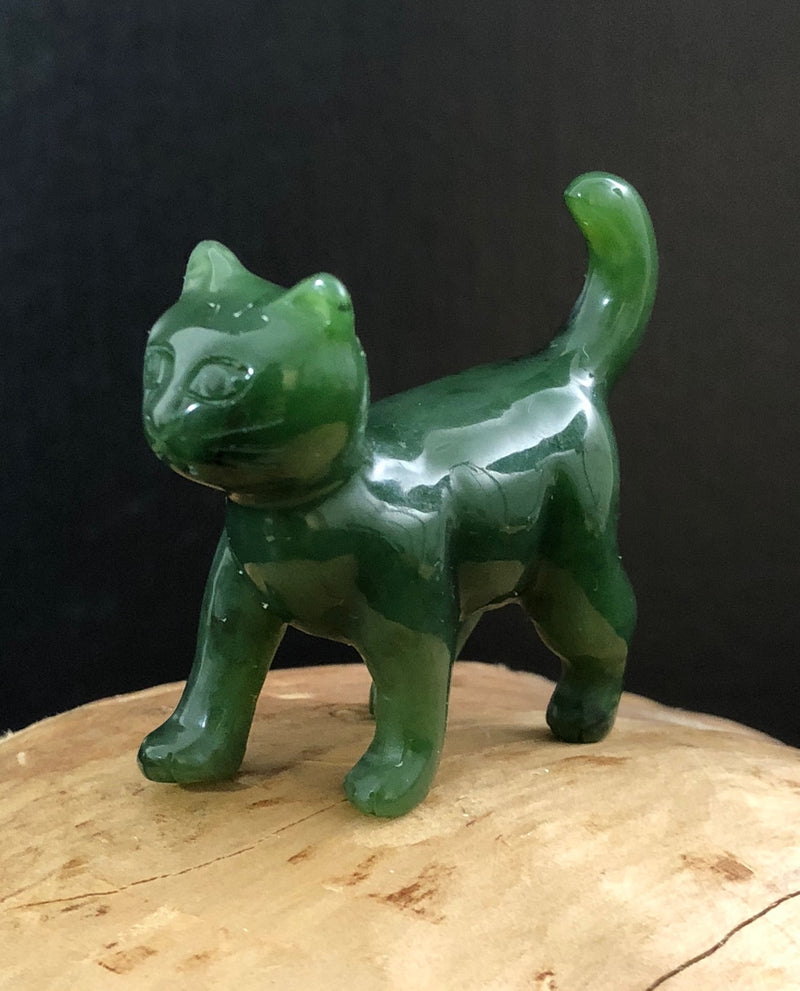 Cat, Walking