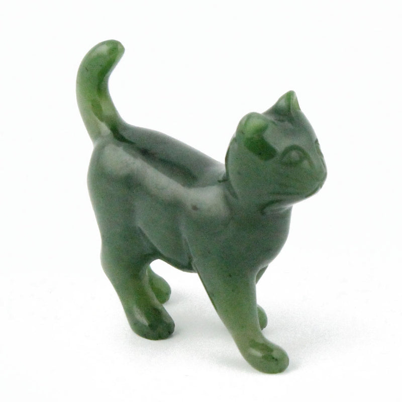 Cat, Walking