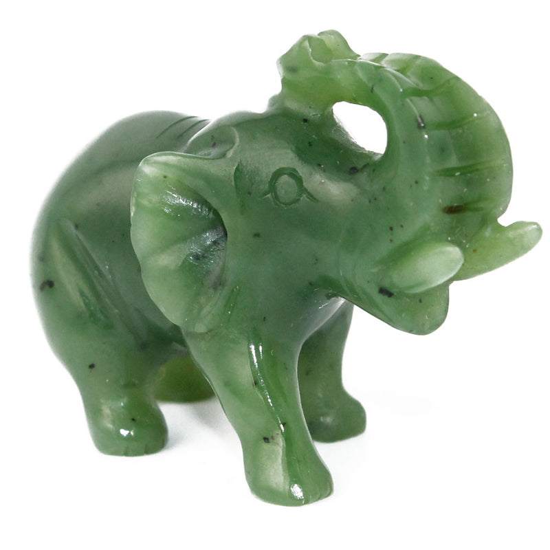 Elephant, Trunk up