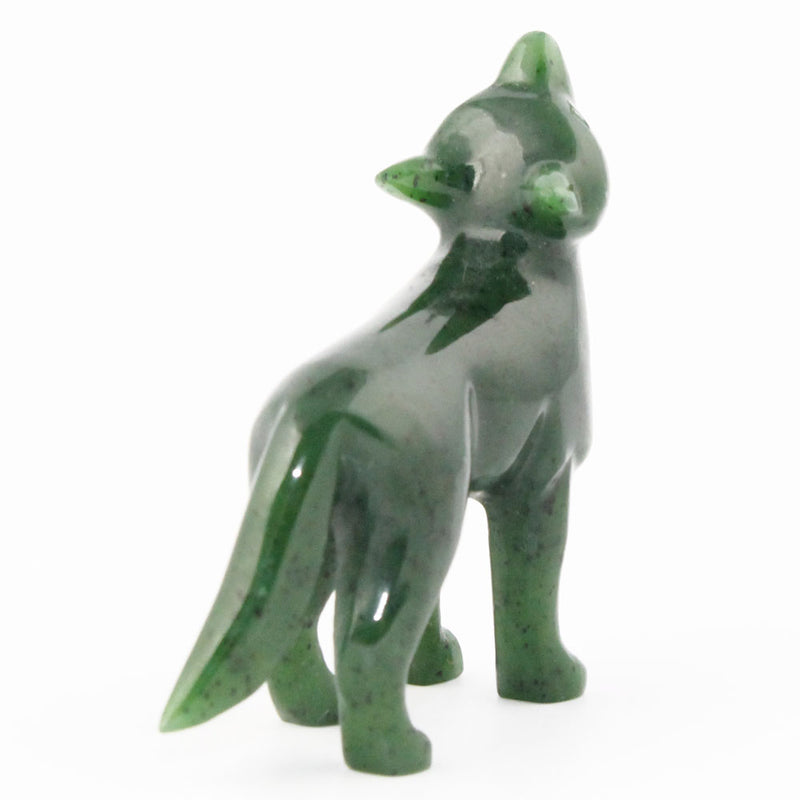 Coyote