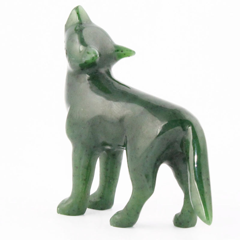 Coyote