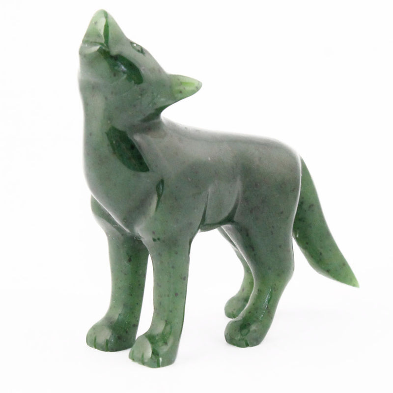 Coyote